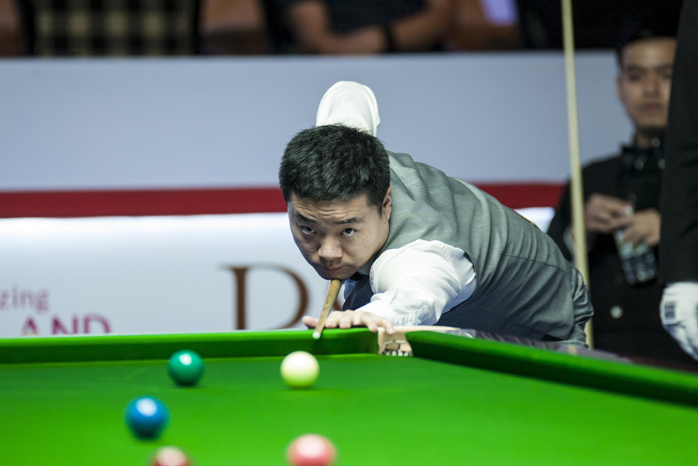 许多研究也 许多研究也