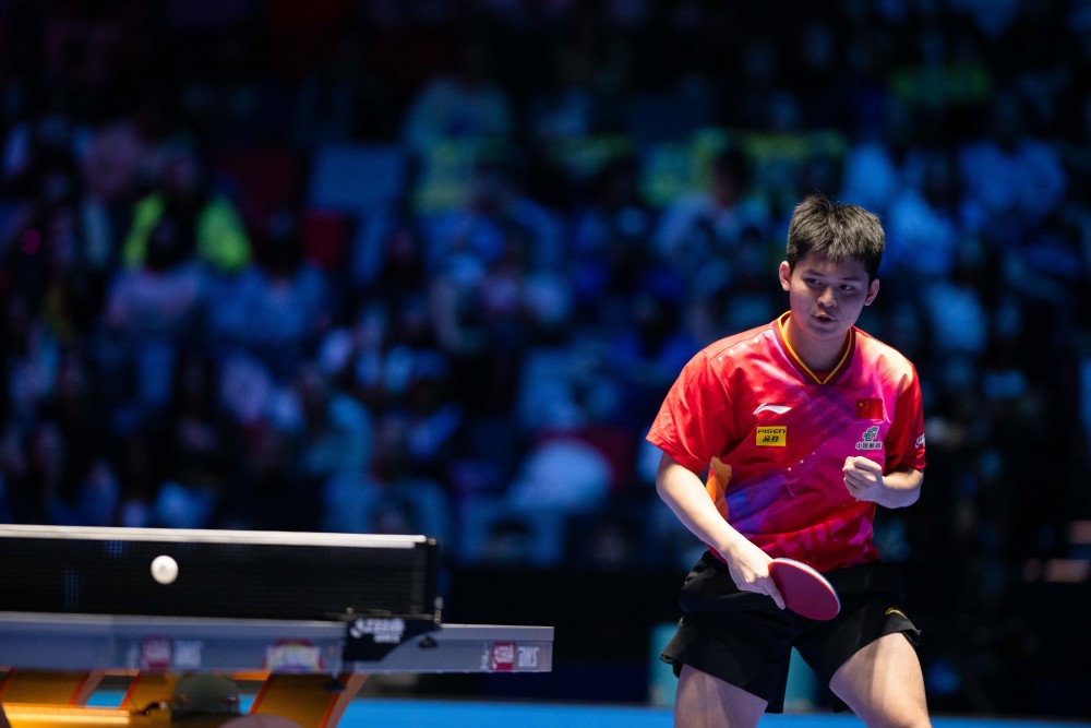 津门虎首粒 津门虎首粒